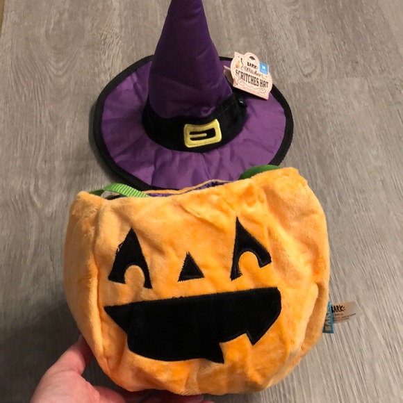 NEW- Bark Box Witches Hat and Pumpkin - Picture 1 of 7